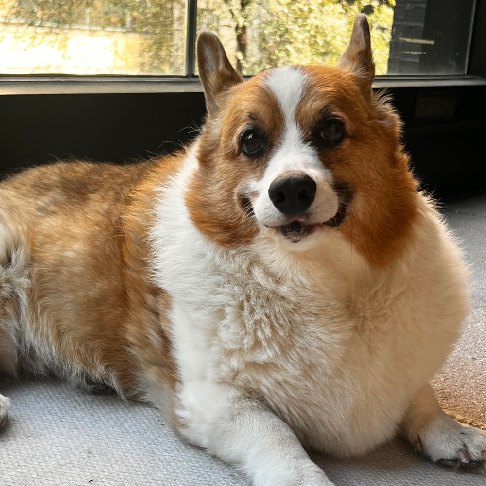 Meet your Posher, Kayoko